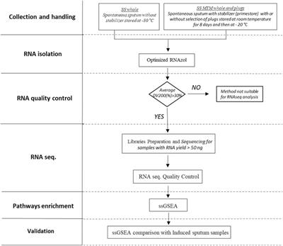 A Novel Processing-Free Method for RNAseq Analysis of Spontaneous Sputum in Chronic Obstructive Pulmonary Disease